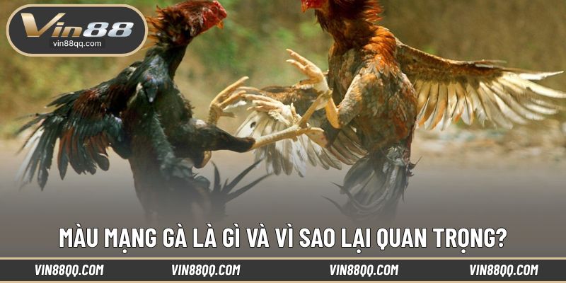 Hiểu rõ bản chất của màu gà để áp dụng hiệu quả