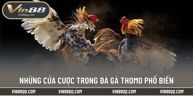 Lựa chọn cửa cược đa dạng và dễ tiếp cận cho người chơi