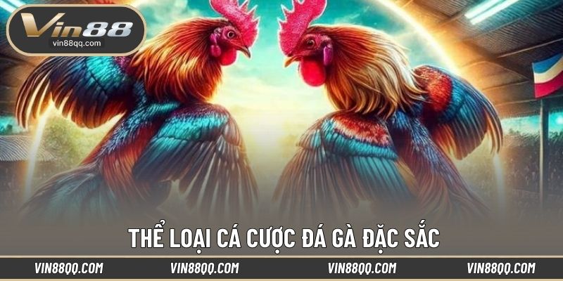 Thể loại cá cược đá gà đặc sắc